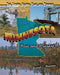 Minnesota by Daniel E. Harmon