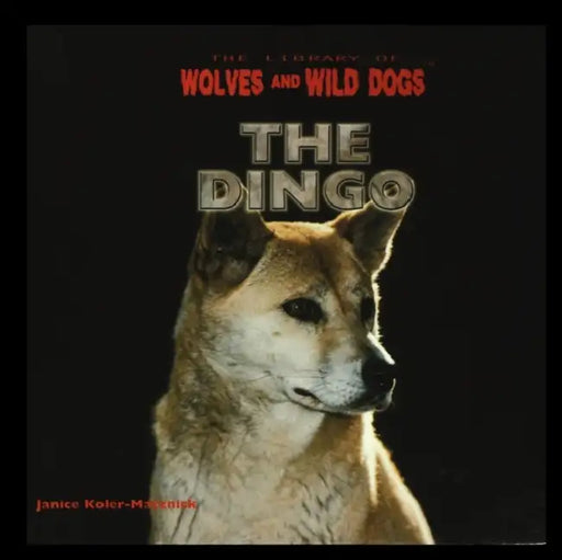 The Dingo by Janice Koler-Matznick