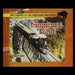 The Transcontinental Railroad by James Burger