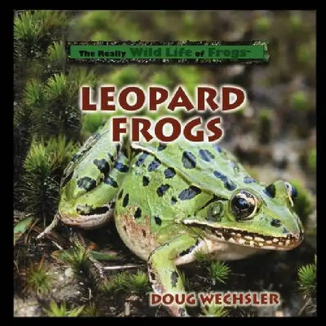 Leopard Frogs by Doug Wechsler