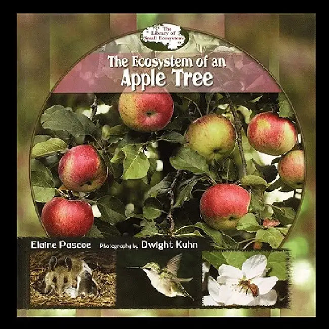 Ecosystem of an Apple Tree by Elaine Pascoe