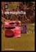 Hemophilia by Jeri Freedman