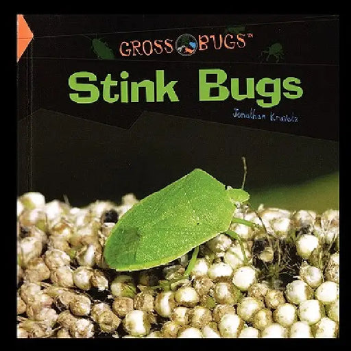 Stink Bugs by Jonathan Kravetz