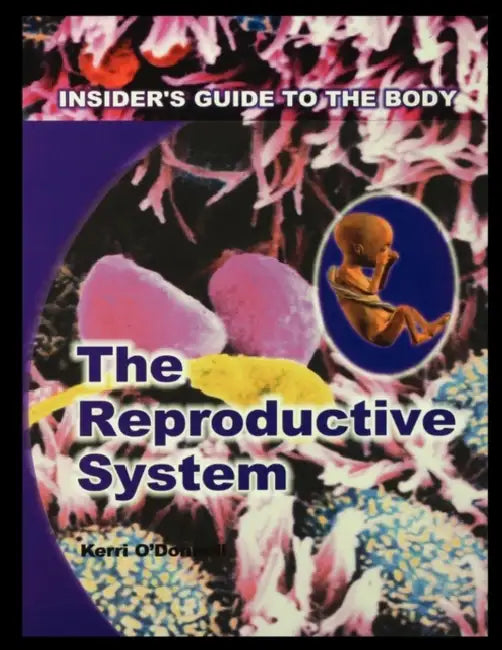 The Reproductive System by Kerri O'Donnell
