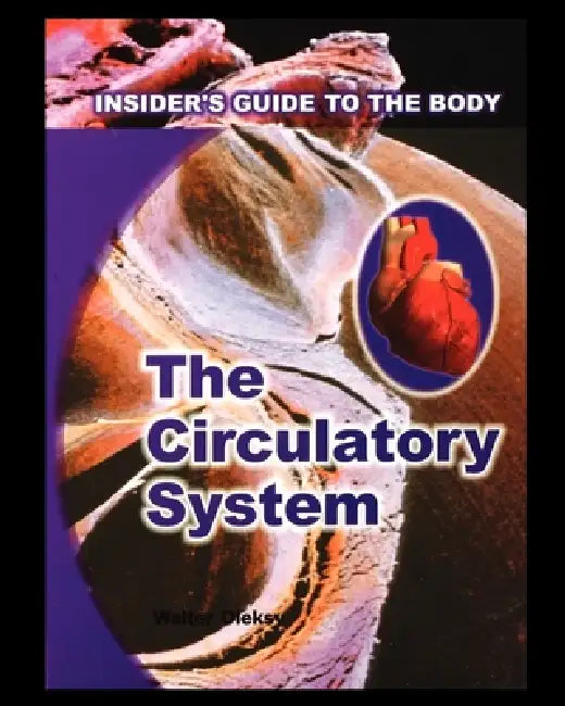 Circulatory System by Walter Oleksy