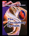 Circulatory System by Walter Oleksy