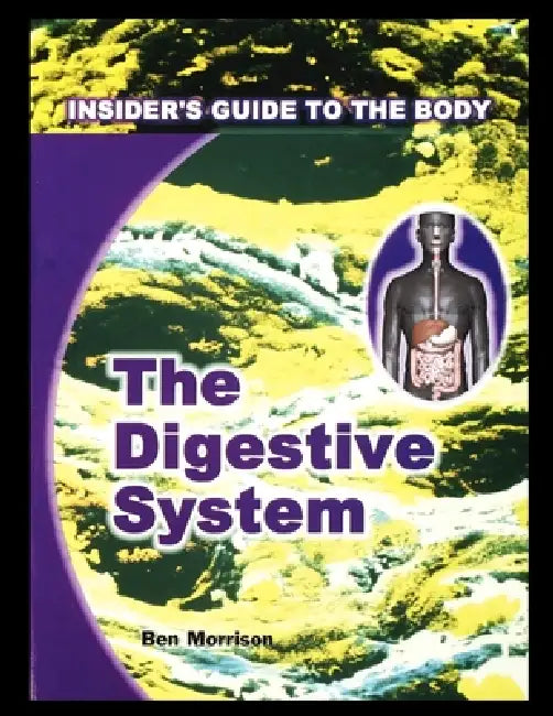 Digestive System by Ben Morrison