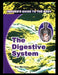Digestive System by Ben Morrison
