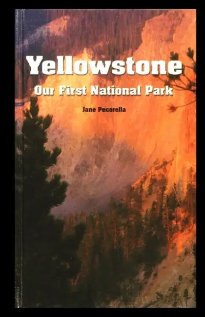 Yellowstone: Our First National Park by Jane Pecorella
