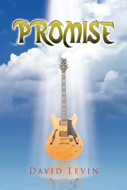 Promise by David Levin