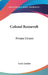 Colonel Roosevelt: Private Citizen by Earle Looker