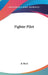 Fighter Pilot by Jr. Beck L. C.