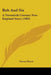 Bub And Sis: A Twentieth Century New England Story (1903) by Simon Durst