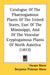 Catalogue Of The Phaenogamous Plants Of The United States, East Of The Mississippi, And Of The Vascular Cryptogamous Plants Of North America (1872) by Horace Mann, Benjamin Pickman Mann