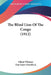 The Blind Lion Of The Congo (1912) by Elliott Whitney, Dan Sayre Groesbeck