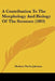 A Contribution To The Morphology And Biology Of The Stentors (1893) by Herbert Parlin Johnson