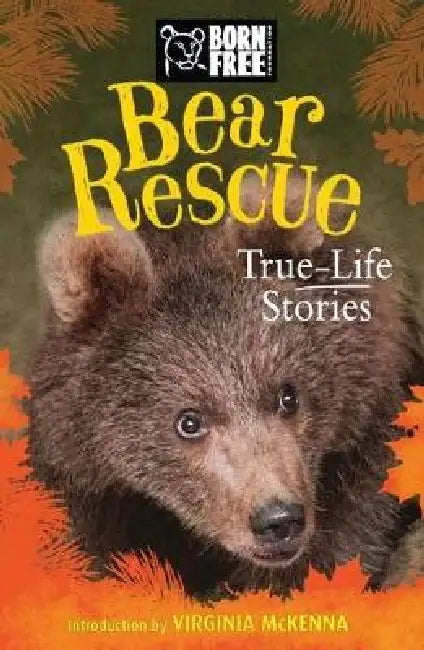 Bear Rescue: True-Life Stories by Jess French