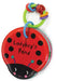 Ladybug's Pond: Bathtime Fun with Rattly Rings and a Friendly Bug Pal by Small World Creations