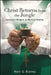 Christ Returns from the Jungle: Ayahuasca Religion as Mystical Healing by Marc G. Blainey