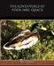 The Adventures of Poor Mrs Quack by Thornton W. Burgess