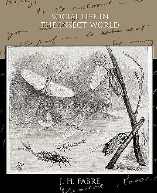 Social Life in the Insect World by J. H. Fabre