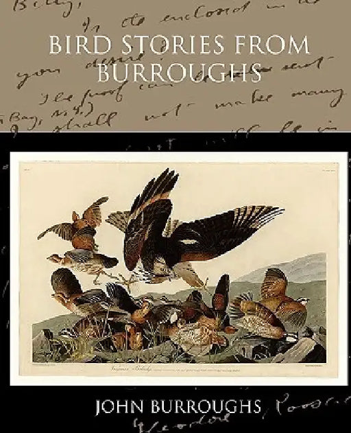 Bird Stories from Burroughs by John Burroughs