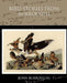 Bird Stories from Burroughs by John Burroughs