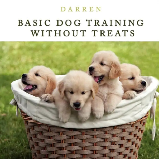 Basic Dog Training Without Treats by Darren