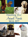 Healing Our Animal Friends With EFT by Andrea Christos
