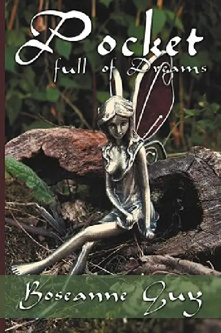 Pocket Full of Dreams by Roseanne Guy