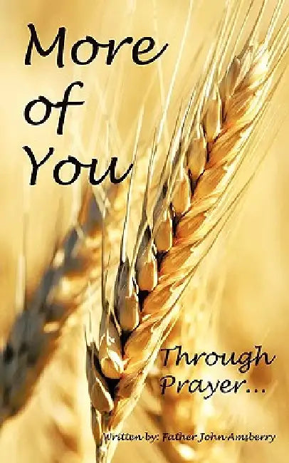 More of You Through Prayer... by Father John Amsberry