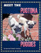 Meet the Pugtona Puggies by Jean Harmony