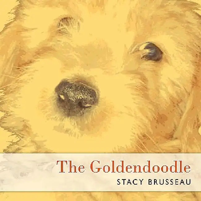 The Goldendoodle by Stacy Brusseau