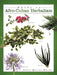 Guide to Afro-Cuban Herbalism by Dalia Quiros-Moran