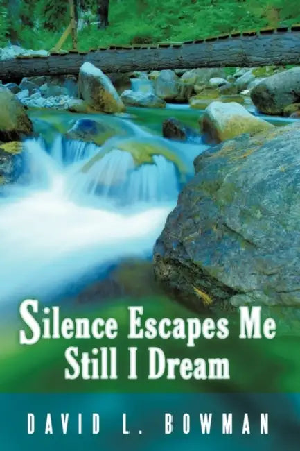 Silence Escapes Me Still I Dream by David L. Bowman