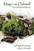 Magic at Oakwell: Discovering Herbal Healing by Phyllis Heitkamp M. H.