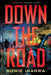 Down the Road: A Zombie Horror Story by Bowie Ibarra