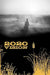 2020 Vision by Robert Hache