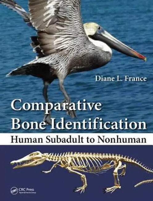 Comparative Bone Identification: Human Subadult to Nonhuman by Diane L. France