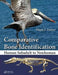 Comparative Bone Identification: Human Subadult to Nonhuman by Diane L. France