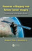 Advances in Mapping from Remote Sensor Imagery: Techniques and Applications by Xiaojun Yang