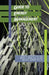 Guide to Energy Management, 7e by Capehart