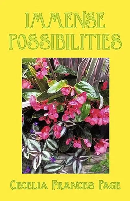 Immense Possibilities by Cecelia Frances Page