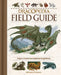Dracopedia Field Guide: Dragons of the World from Amphipteridae Through Wyvernae by William O'Connor