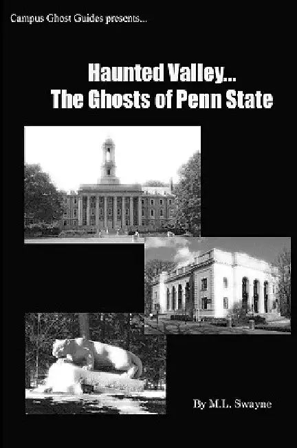 Haunted Valley... The Ghosts Of Penn State: Ghost Stories And Haunted Tales Of Penn State by Matt Swayne