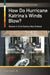 How Do Hurricane Katrina's Winds Blow? Racism in 21st-Century New Orleans by Walter Champion