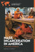 Mass Incarceration in America: A Reference Handbook by Rachel M. Durso