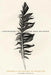 Listening to Noise and Silence: Toward a Philosophy of Sound Art by Salome Voegelin