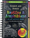 Scratch & Sketch Reptiles & Amphibians by Sarah Longstreth