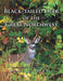 Black-Tailed Deer of the Great Northwest by James R. Harris